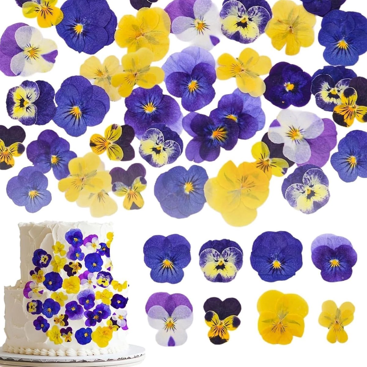 Gedroogde Bloemen voor DIY Projecten, 48 Stuks Geperste Natuurlijke Bladeren voor Scrapbooking en Ambachtelijke Decoratie
