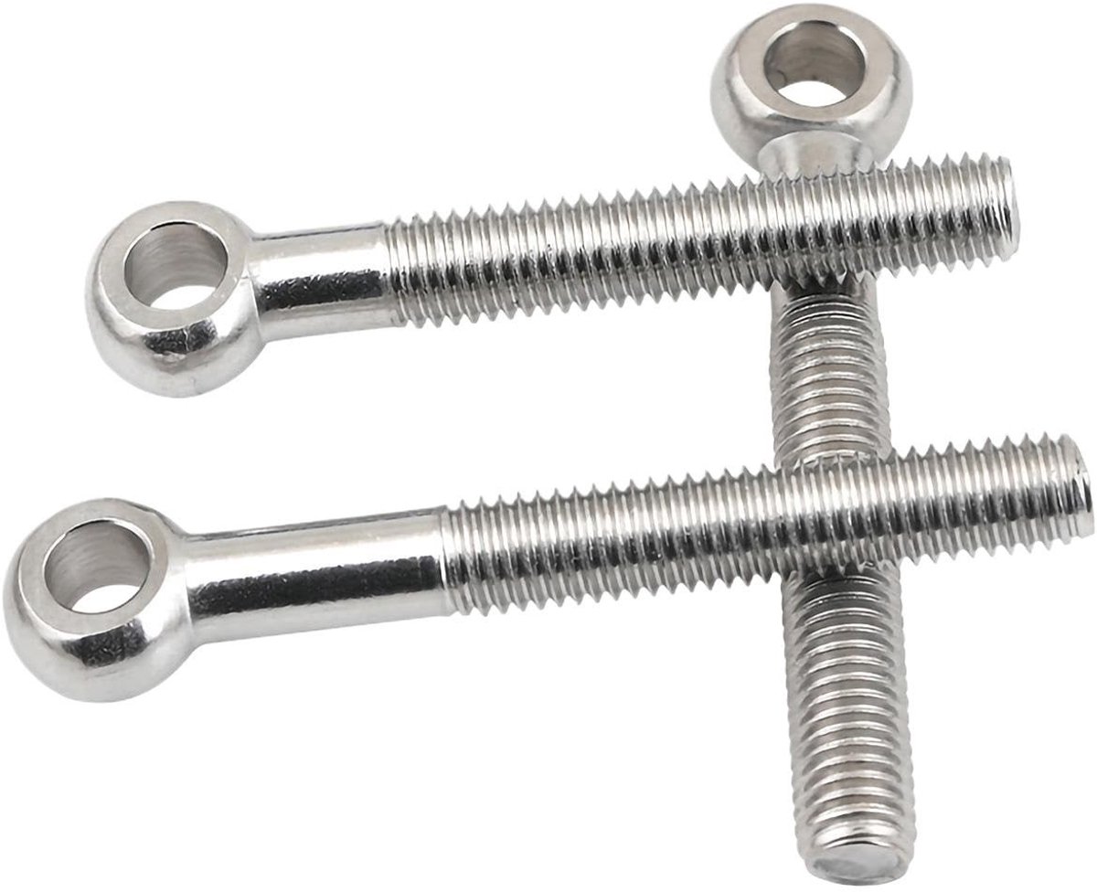 Ronde gatschroeven M8 x 60 mm - Roestvrij staal (2 stuks)