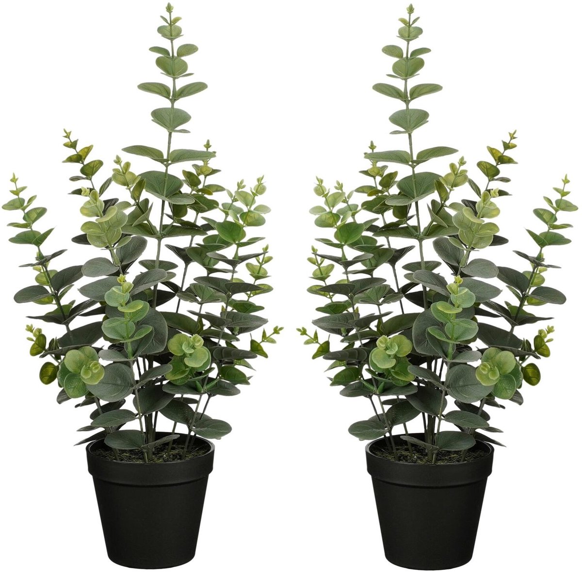 Mica Decorations Kunstplant Eucalyptus - 2x - H53 cm - groen - kunststof - bladgroen - in pot - 23 cm breed