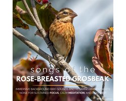Songs of the Rose-Breasted Grosbeak