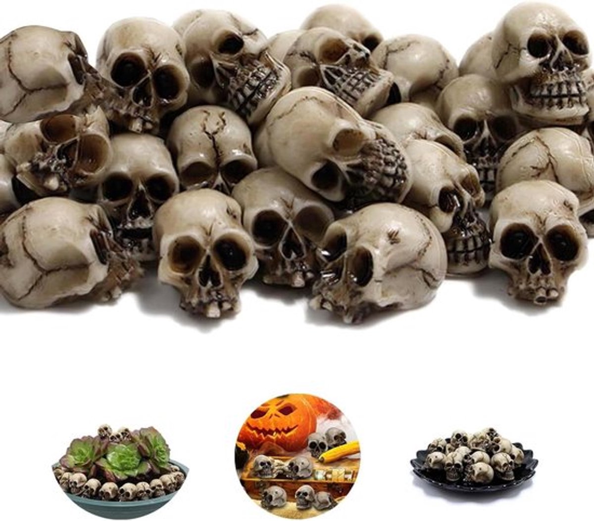 Set van 20 decoratieve schedels voor Halloween-thema - Allecto Plus