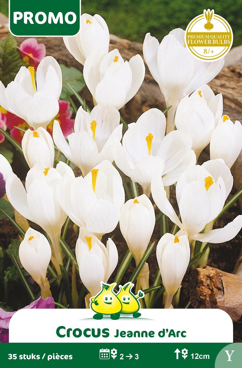 1 Zakje Promoverpakking Crocus Vernus Wit 35 stuks maat 8/+