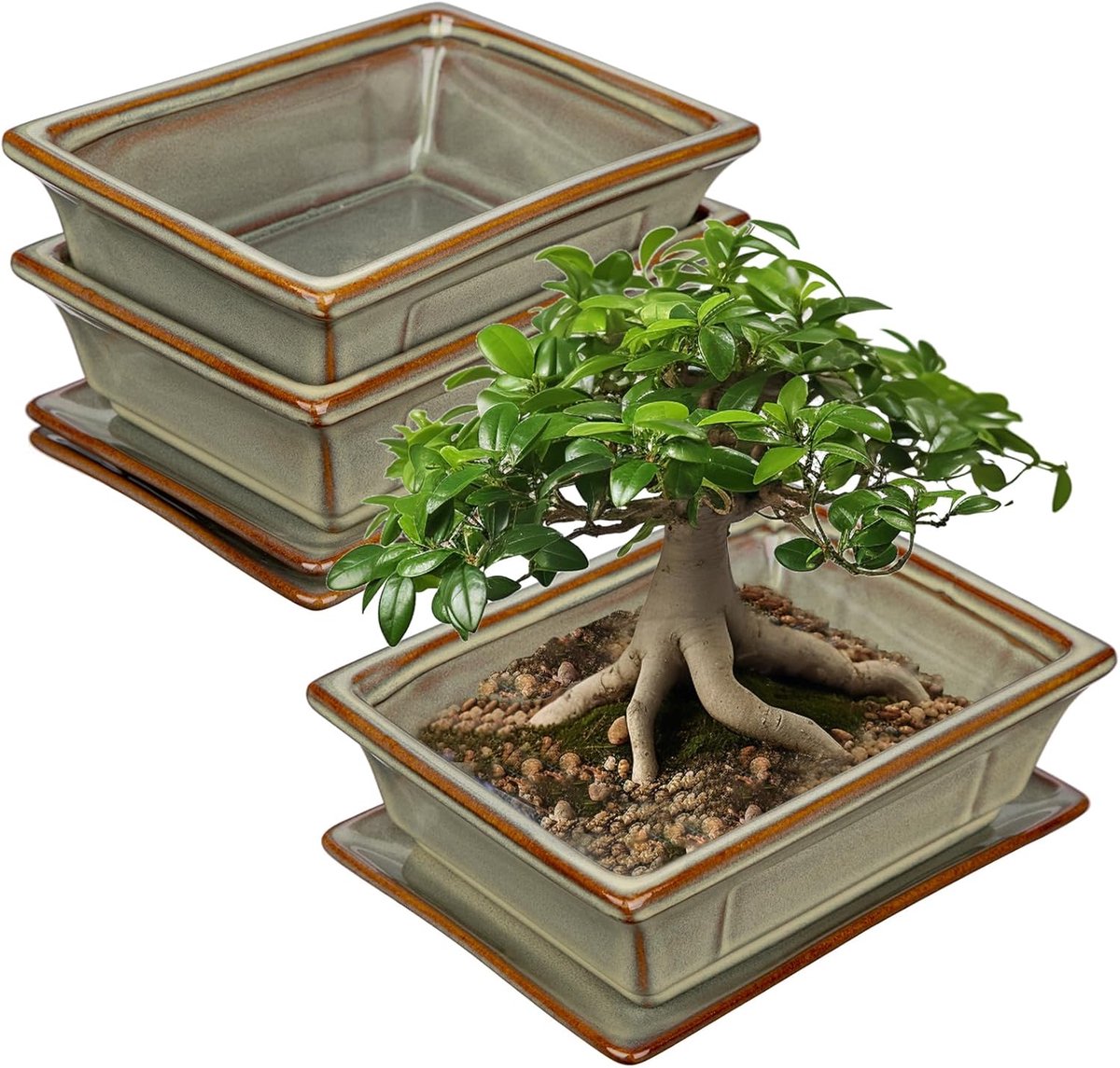 SnelShoppen - 2-delige Bonsai Keramische Pot Set met Coaster en Afvoergaten voor Japanse Bonsai Planten, Retro Tuindecoratie, Diameter 19cm