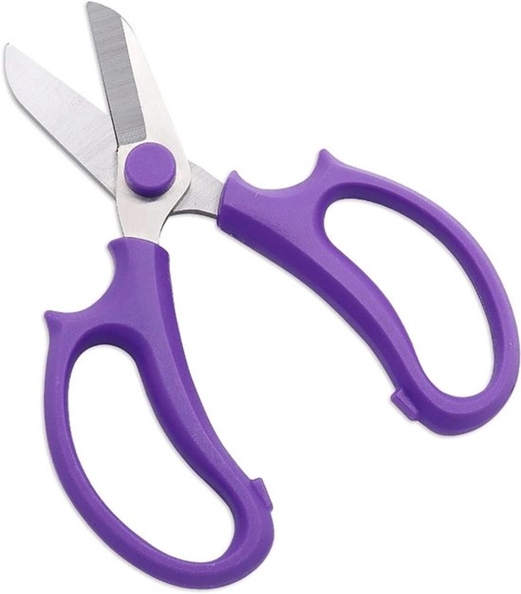Bloemist Schaar met Roestvrijstalen Blades voor Tuinieren - Precieze Bloem Tak Cutter - Tuinbouw Tool in Purper Kleur