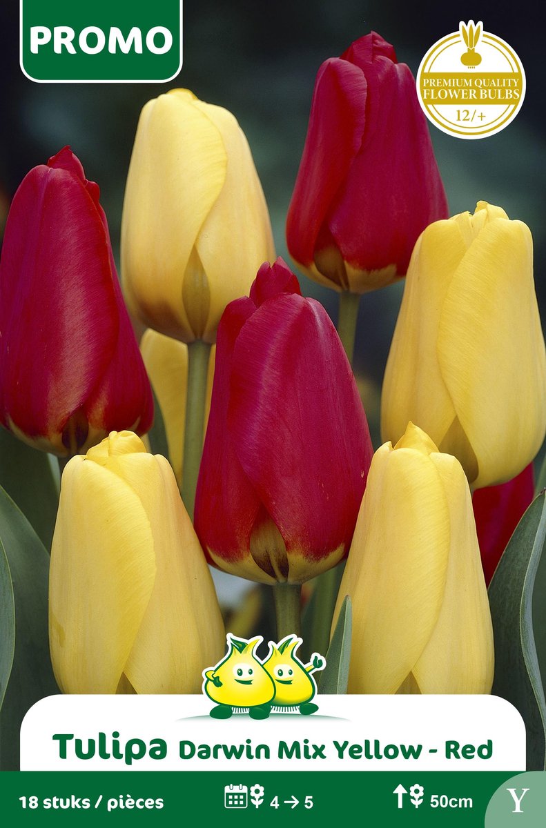 1 Zakje Promoverpakking Tulp Darwin Rood Geel Mix 18 stuks maat 14/+