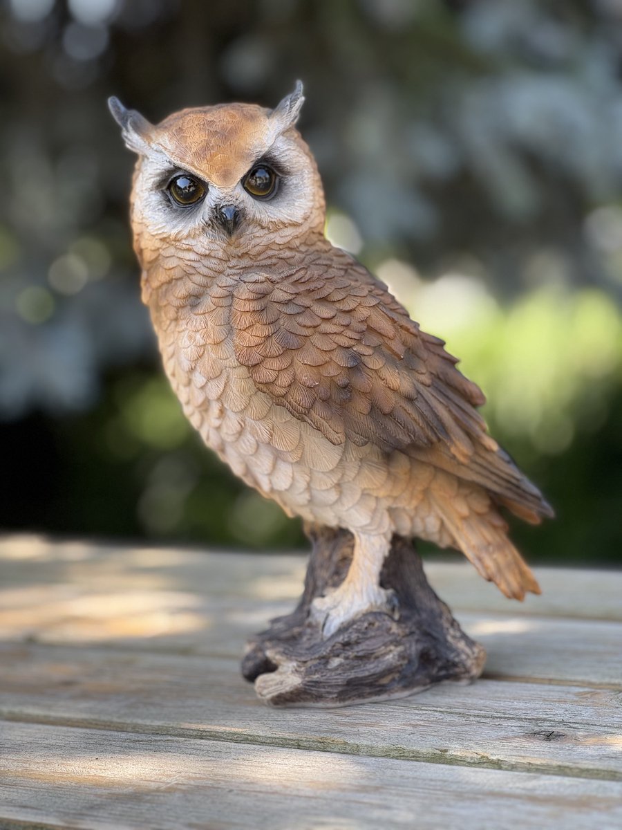 Oehoe uil FI 25 cm hoog - decoratief beeld - dierenbeeld - vogel - voor buiten - voor binnen - cadeau - geschenk - voor hem - voor haar - cadeau - geschenk - verjaardag - vogeliefhebber - kerst - nieuwjaar - valentijn