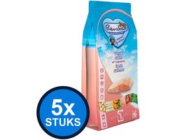 5x Renske - Super Premium droog hond adult zalm graanvrij 600gr - Hondenvoer - 600 g