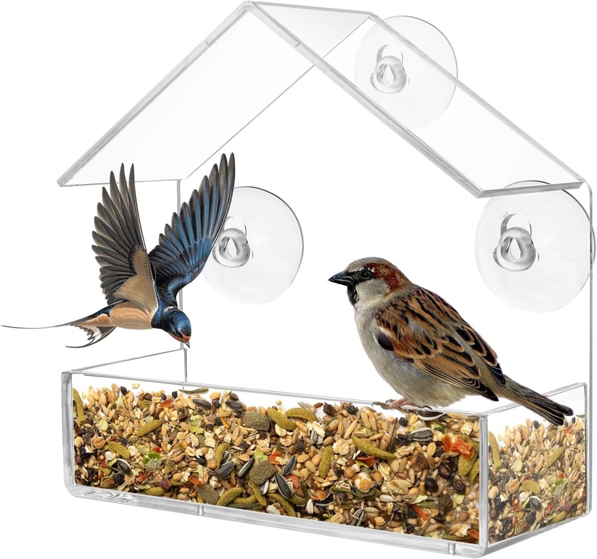 Transparante Voederhuis voor Vogels met Sterke Zuignappen | Ideaal voor Tuinvogels, Balkon en Raam, Afmetingen 15 x 15 x 6 cm
