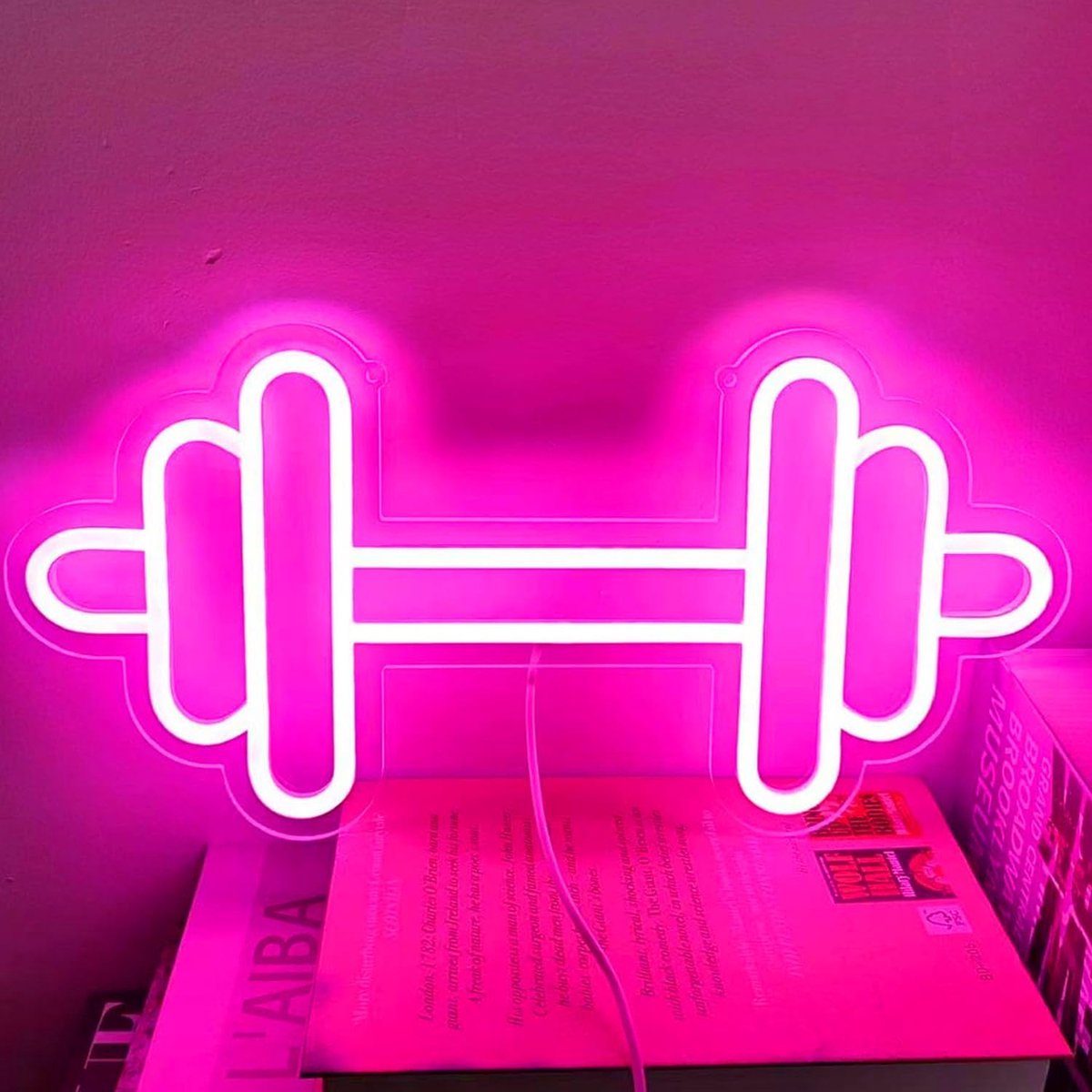 Multifunctional Gym Neon Light & Home Fitness Sign - 3 Light Types Wall Decoration, Pink and Dimmable - ShopVlot