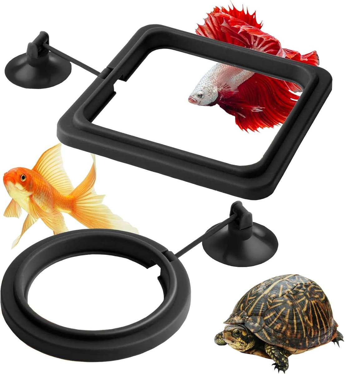 Aquarium feeder ring 10 stuks - drijvend PVC - voor guppy, betta, goudvis en schildpad - stimuleert eetgewoonten - ShopVlot