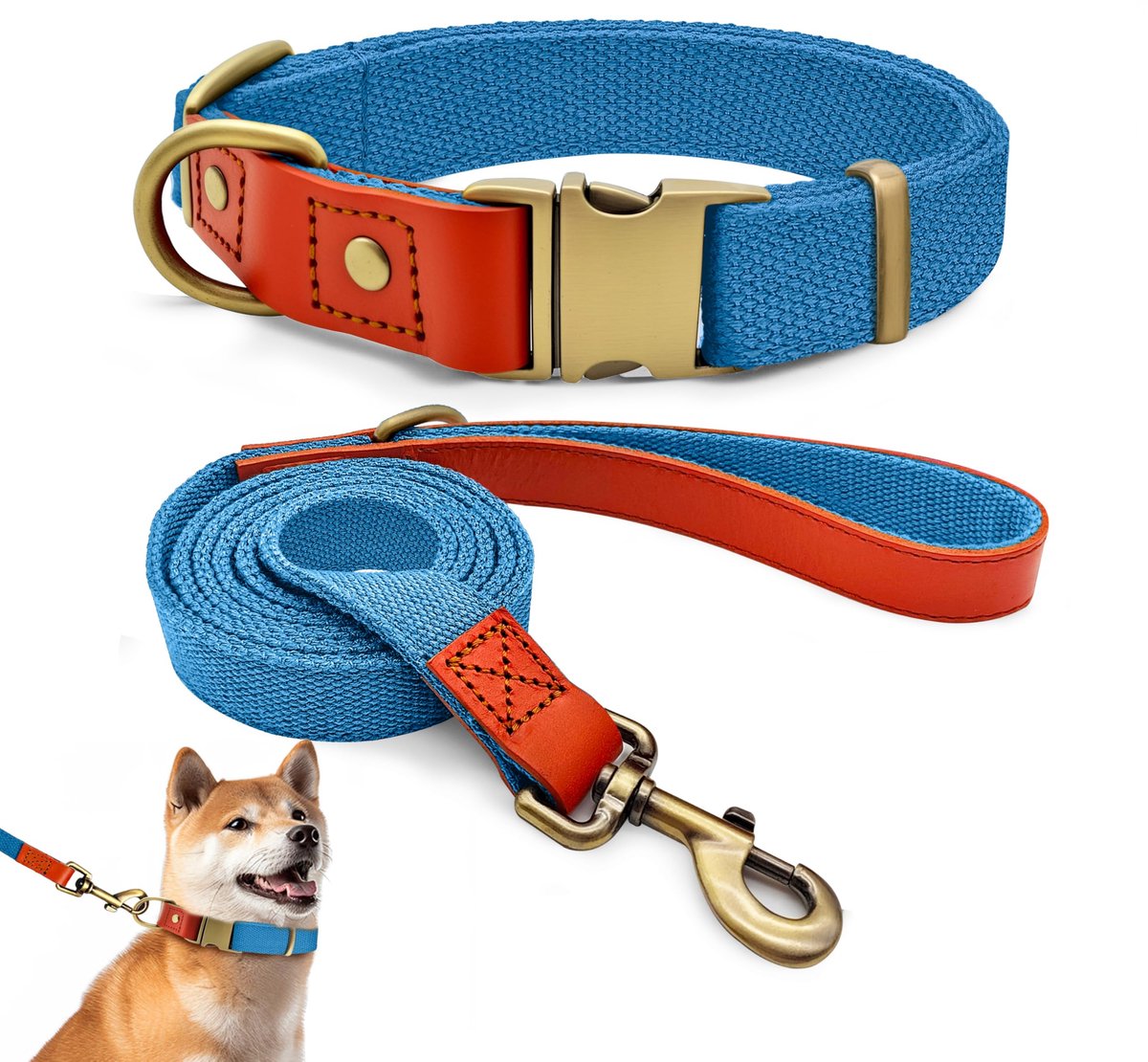 Halsband- en riemset L 38–58 cm - leer met nylon - blauw - comfortabel voor dagelijks gebruik - ShopVlot