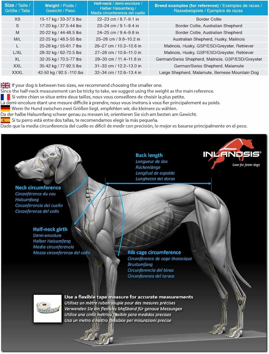 Inlandsis X-Back canicross Polar Quest Harness - ShopVlot