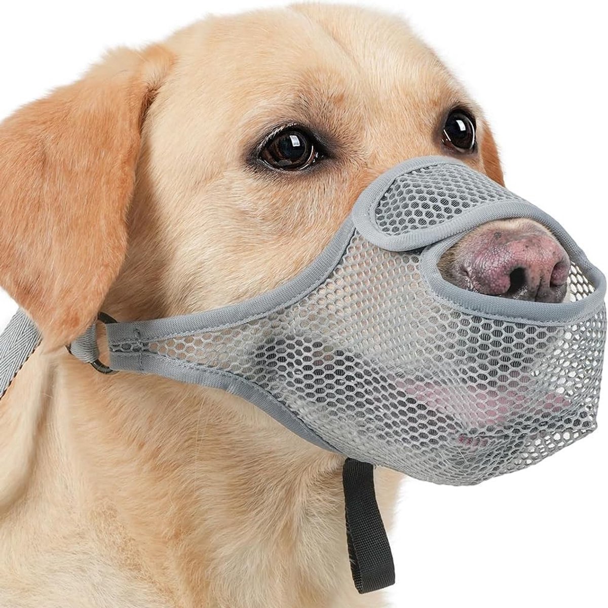 Solidchoice - Zachte en Ademend Muilkorf voor Honden, Verstelbaar XL