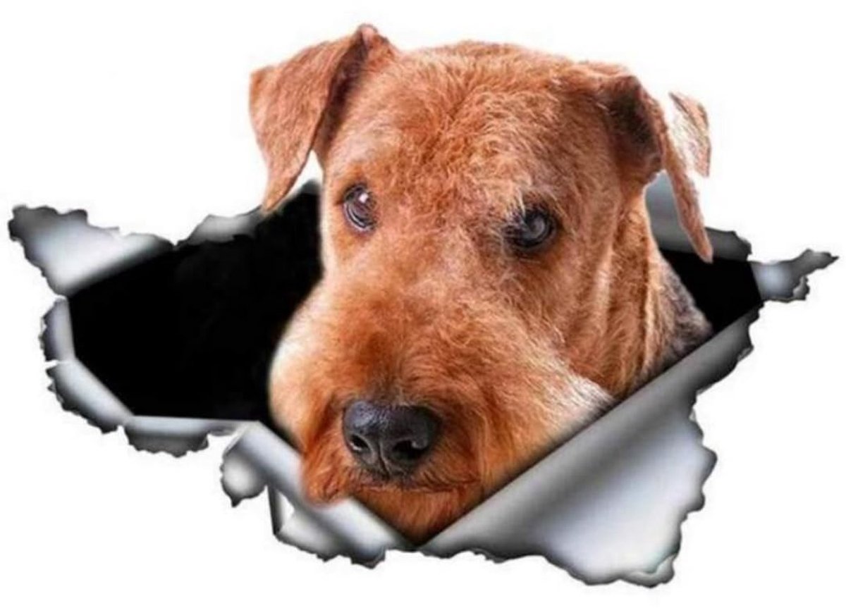 Solidchoice - Airedale Terrier 3D Sticker voor Auto en Laptop