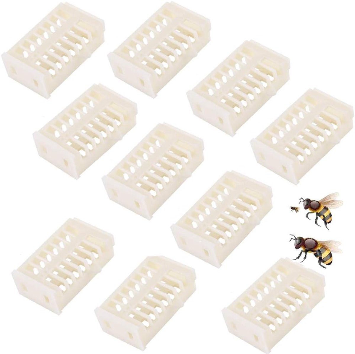 White Plastic Beekeepers Queen Cages Beekeeping Leather Plastic Cages Kit Queen Beekeepers Beekeeping Tools - ShopVlot