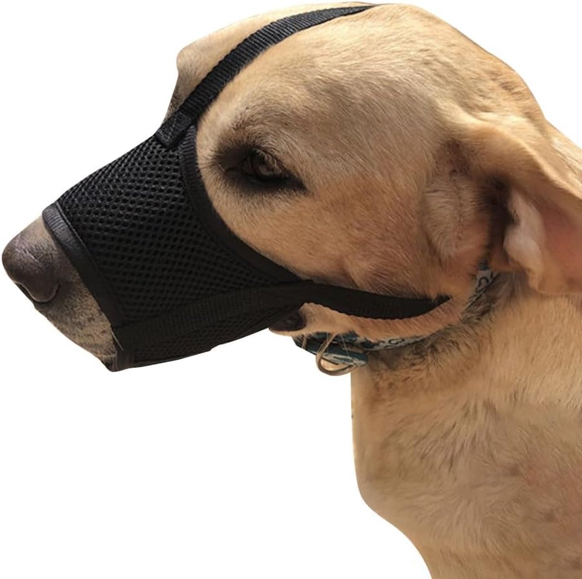 Muilkorf voor honden XL - ademend mesh - verstelbaar - veilig tijdens wandelingen - ShopVlot