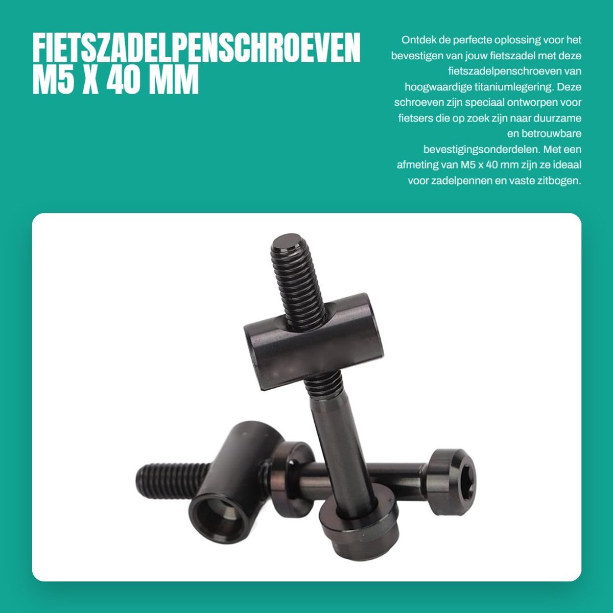 Dailygoods- Fietszadelpenschroeven M5 x 40 mm - 2 Stuks