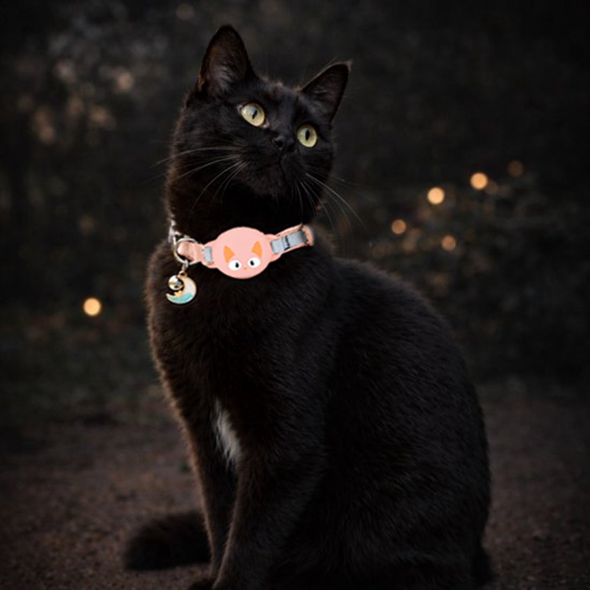 Pets n Paws Kattenhalsband Tag Houder - Verstelbare Halsband Kat - Met belletje - Glow in the Dark - Reflecterend - Geschikt voor AirTag - Kat GPS Tracker Houder - Kitten / Hond - Kattenbandje - Cat Collar - Kattenriem - Zalmroze – foto 6