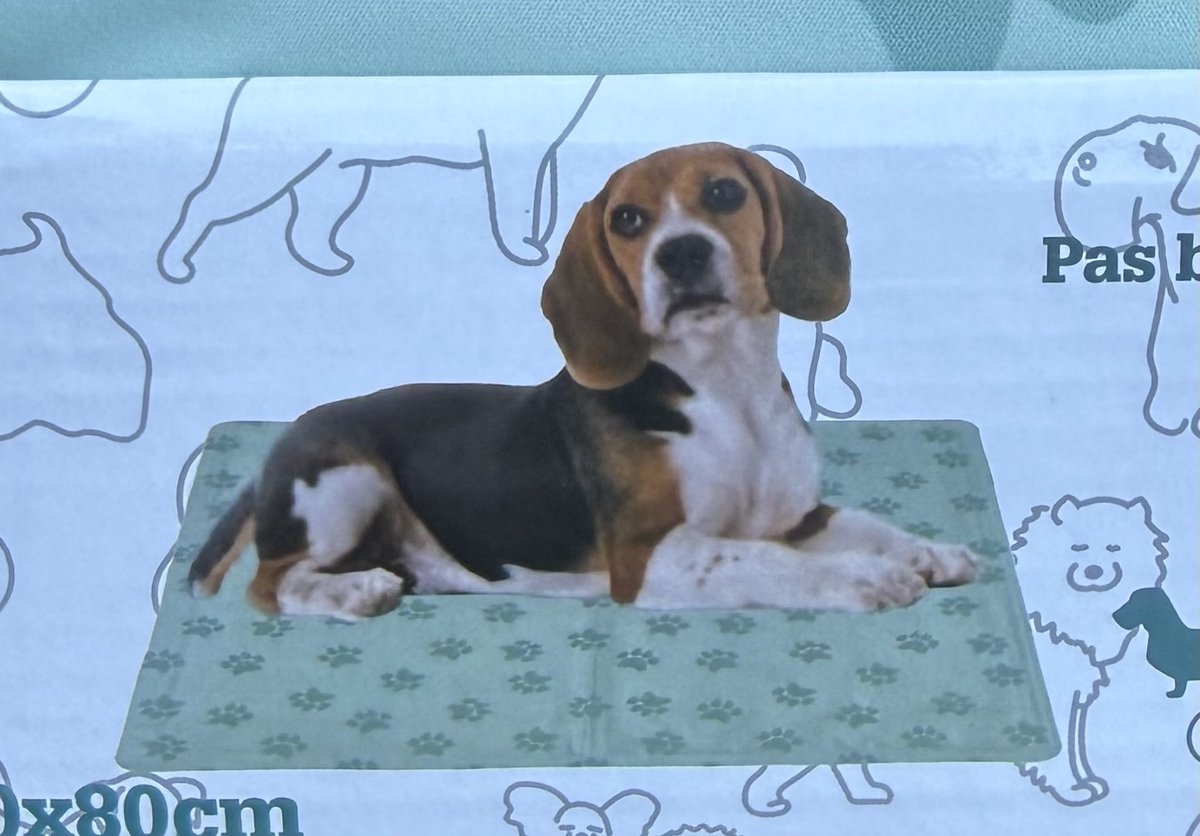Koelmat dieren honden koelmatten voor huisdieren 60 x 80 cm groen mint met hondenpootjes koude mat voor hond