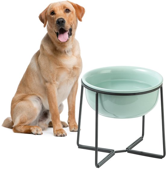 Gele labrador naast een verhoogde blauwgroene keramische voerbak op een zwart metalen frame.