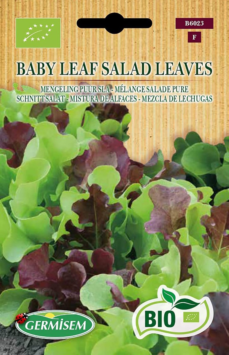 SnelShoppen - Biologische Babyblad Salade Muntzaad 2g - Eenvoudig te kweken, Vers, Groen, Tuin, Keuken, Gezond, Zelfgroei, Groenten, Lettuce