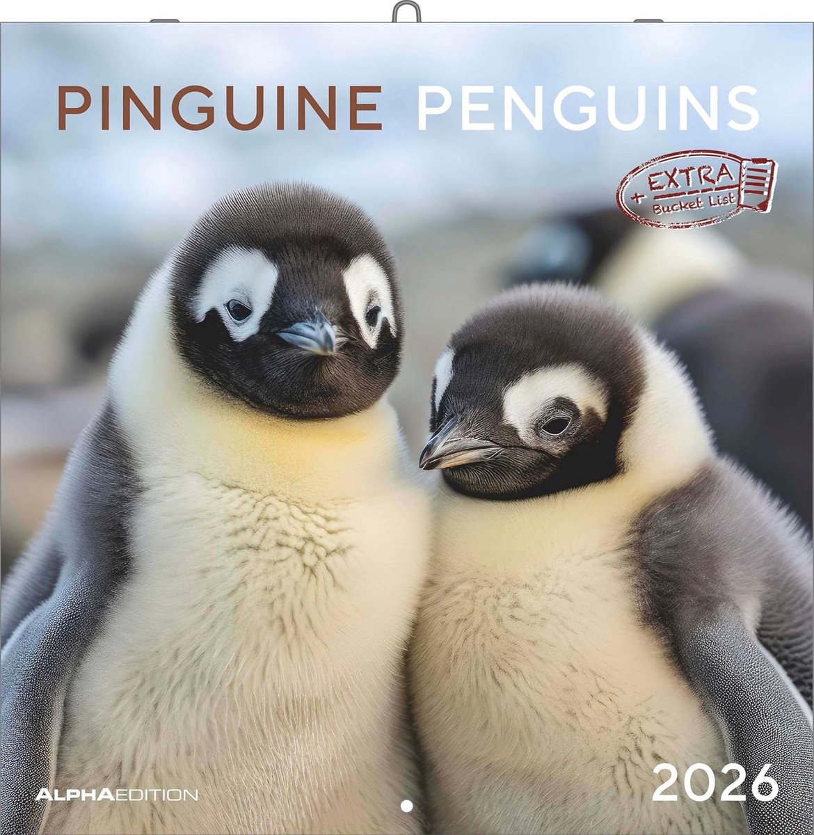 SnelShoppen - Pinguïn Kalender 2026 – Wandkalender 30x30 cm (30x60 cm geopend) met 12 prachtige dierenfoto's, perfect voor dieren- en natuurliefhebber