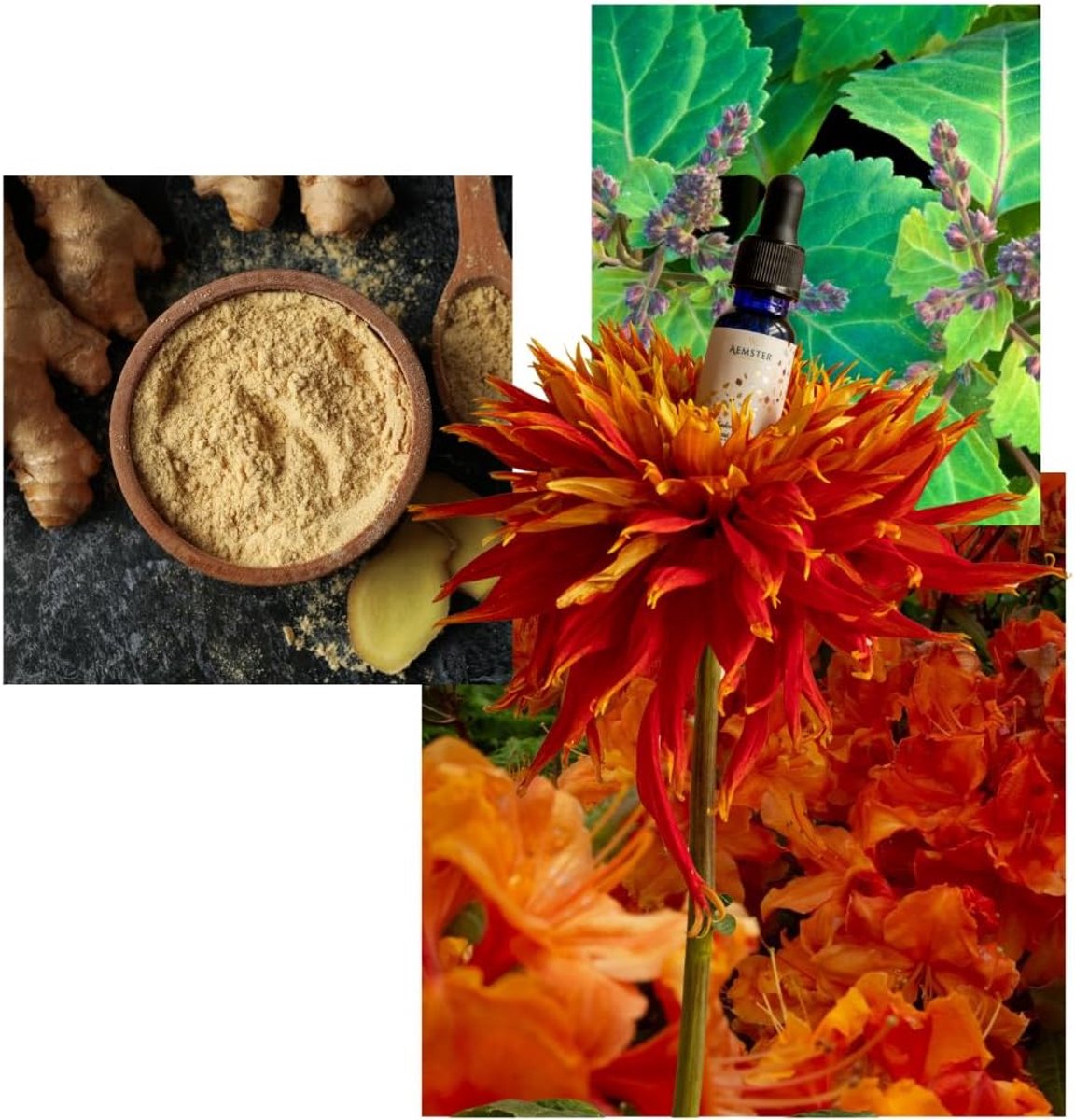 SnelShoppen - Sedona Spice Geuroliën (15ml) - Luxe Geur voor Thuis - Geschikt voor Aroma Diffusers - Essentiële Oliën & Aroma Mengsels - Kaardamon, Ge