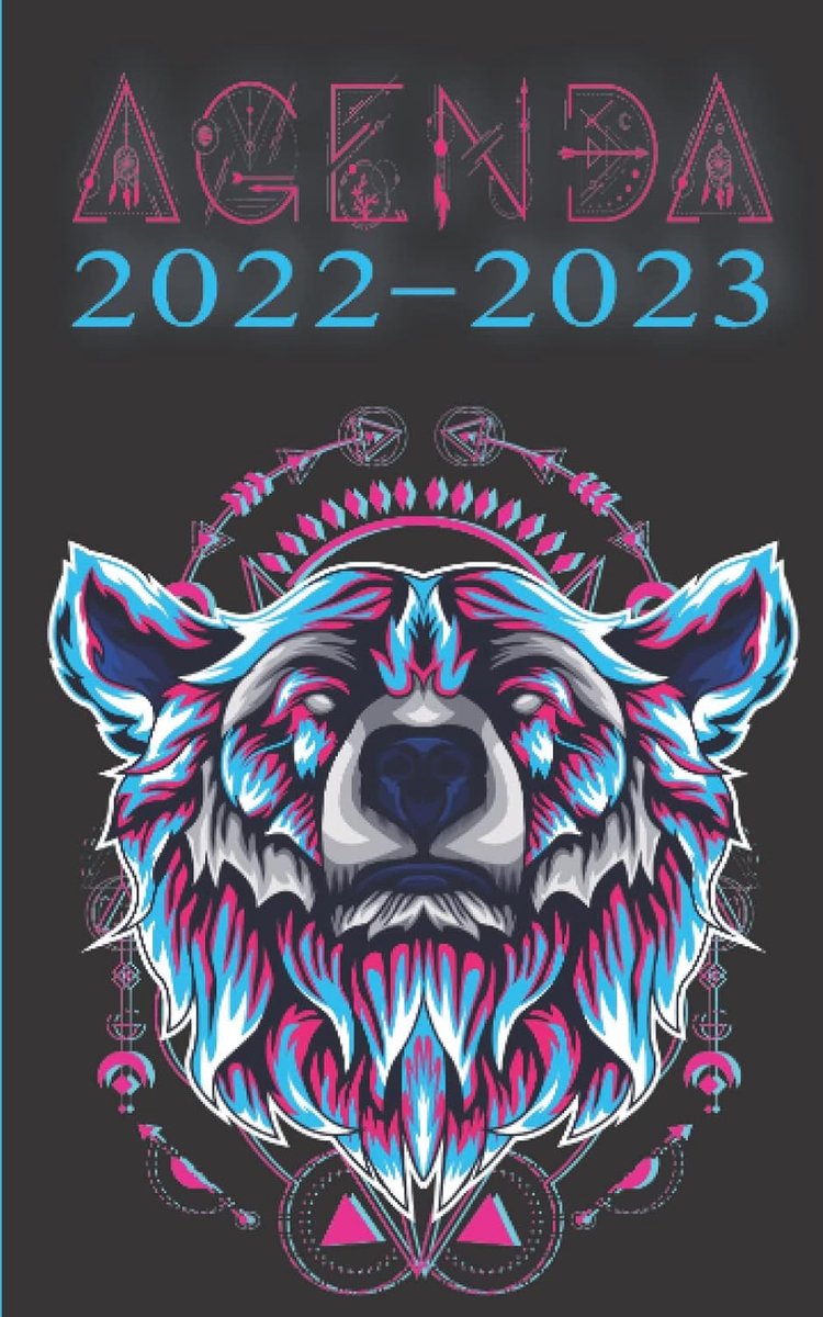 SnelShoppen - Agenda 2022-2023 Cahier de Texte Scolaire voor Jongens - Lycée, Collège, Primair - Ours Gamer Gaming Geek Thema - Perfect voor Studenten