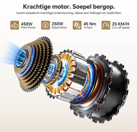 Touroll J2 ST Elektrische Fiets 250W 45Nm Accu 561.6Wh 100km 7 Versnellingen Shimano Bagagedrager Lage Instap Grijs van Touroll — afbeelding 4