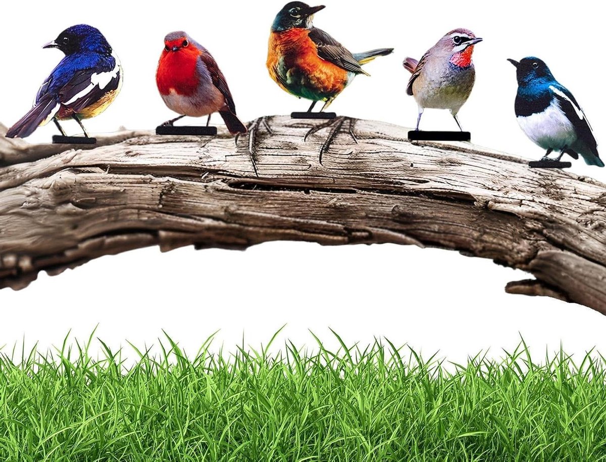 Vogelfiguren set - Tuindecoratie vogels - Hek versieren - Weerbestendig metaal - 5 stuks - Gekleurd