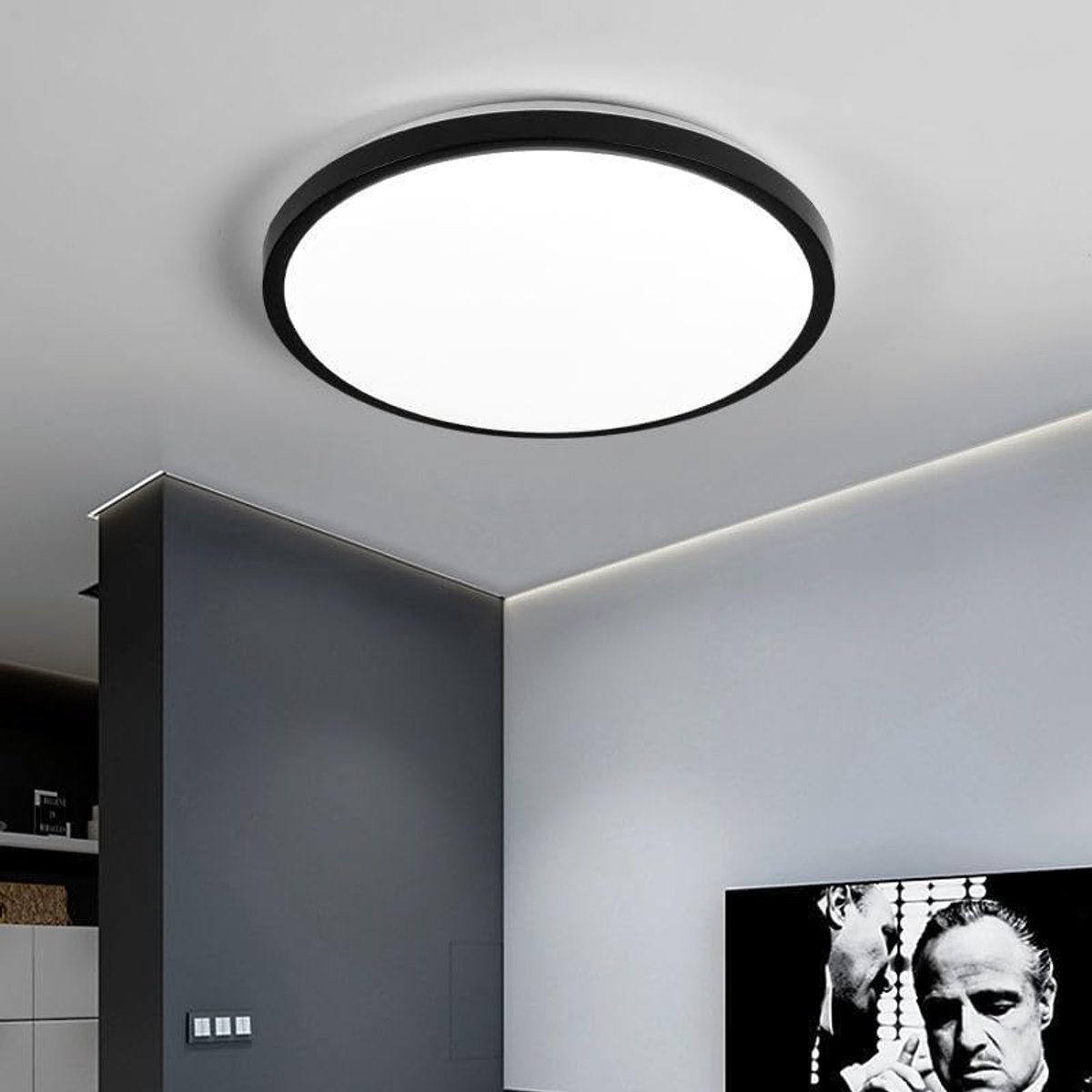 Riserva LED Plafondlamp Rond - 24W - 2700 lm - 6500K Koud Wit - Ø28,5 cm - Zwarte Plafondlamp voor Woonkamer, Slaapkamer, Keuken en Badkamer