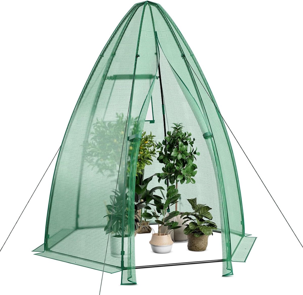 COSTWAY Foliekas voor winter, broeikas met PE-afdekking, roldeur en mesh-venster, tomatenkas, tomatenkas, plantenhuis voor tomaten en potplanten, 160 x 160 x 183 cm, groen