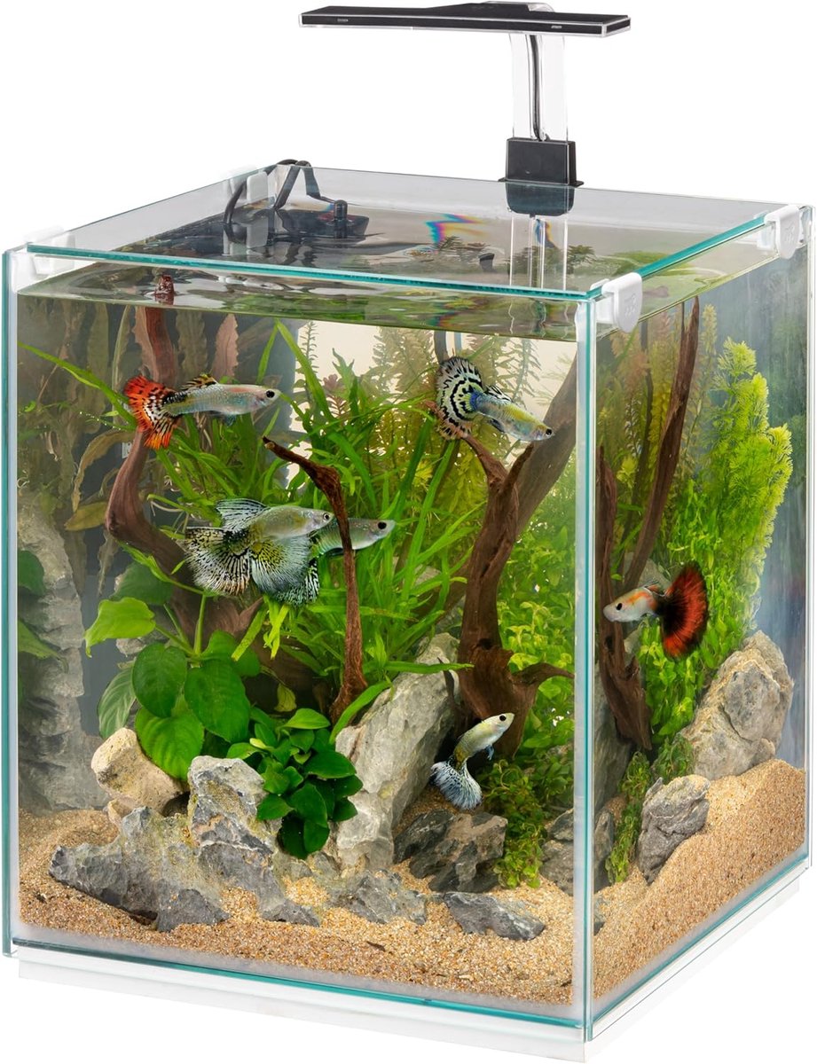 SnelShoppen - Aquarium 30 Litre met Dimbare LED Lamp, 3 Modi, Stille Binnenfilter en Heater, Glazen Aquarium 30 x 30 x 50 cm - Modern en Minimalistisc