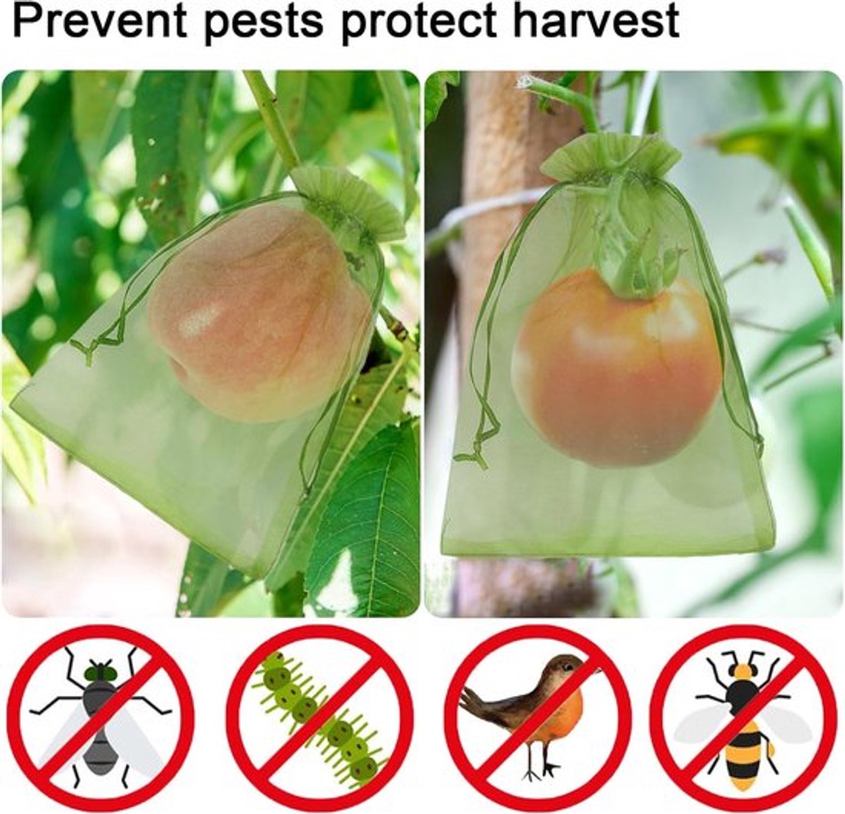 Fruithoes - 100 stuks - Fruithoezen - Druivenbeschermzakken - Polyester - Oogstbescherming - Beschermzakjes voor fruit en groenten - Bescherming tegen insecten, vogels en eekhoorns - 20 x 30 cm -Groen fruit