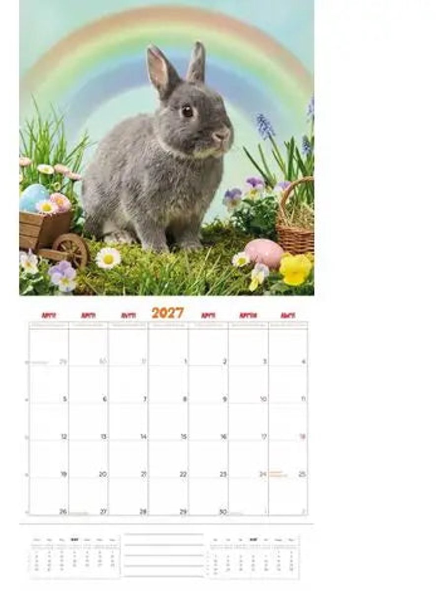 Konijnen Studio Kalender 2027