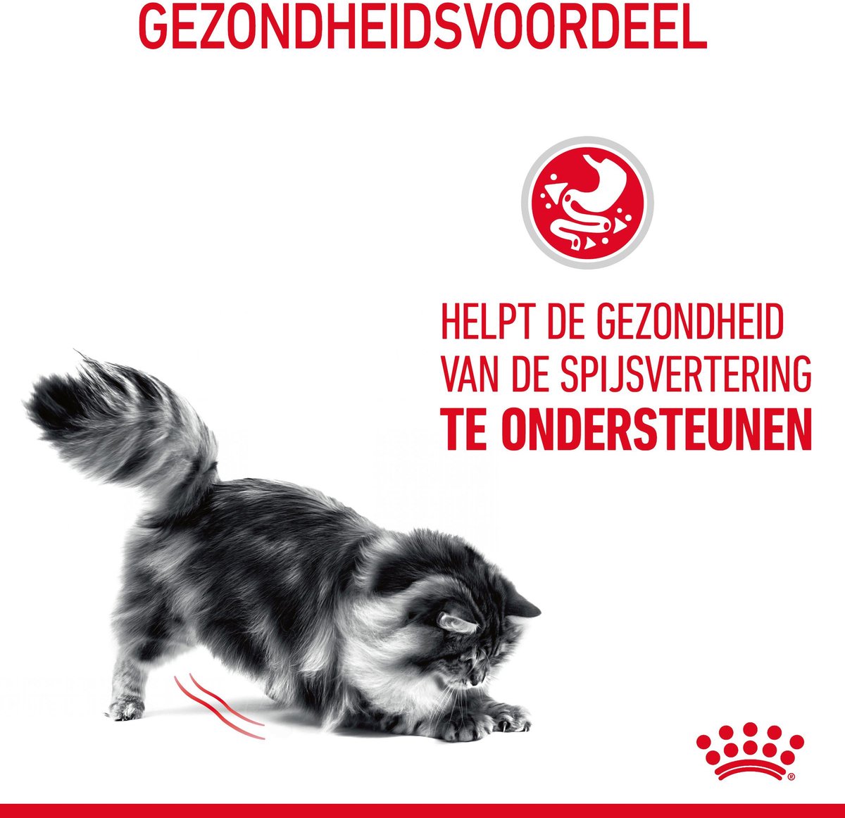 Bol.com Royal Canin Digestive Care - Kattenvoer - 4kg - Bij spijsverteringsproblemen aanbieding