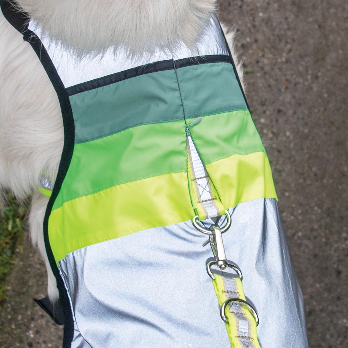 GOFLUO - Hondentuig Moonlight - Reflecterend - Hondenharnas - Fluo - Veiligheidshesje - Wandelen - XS - Grey reflective