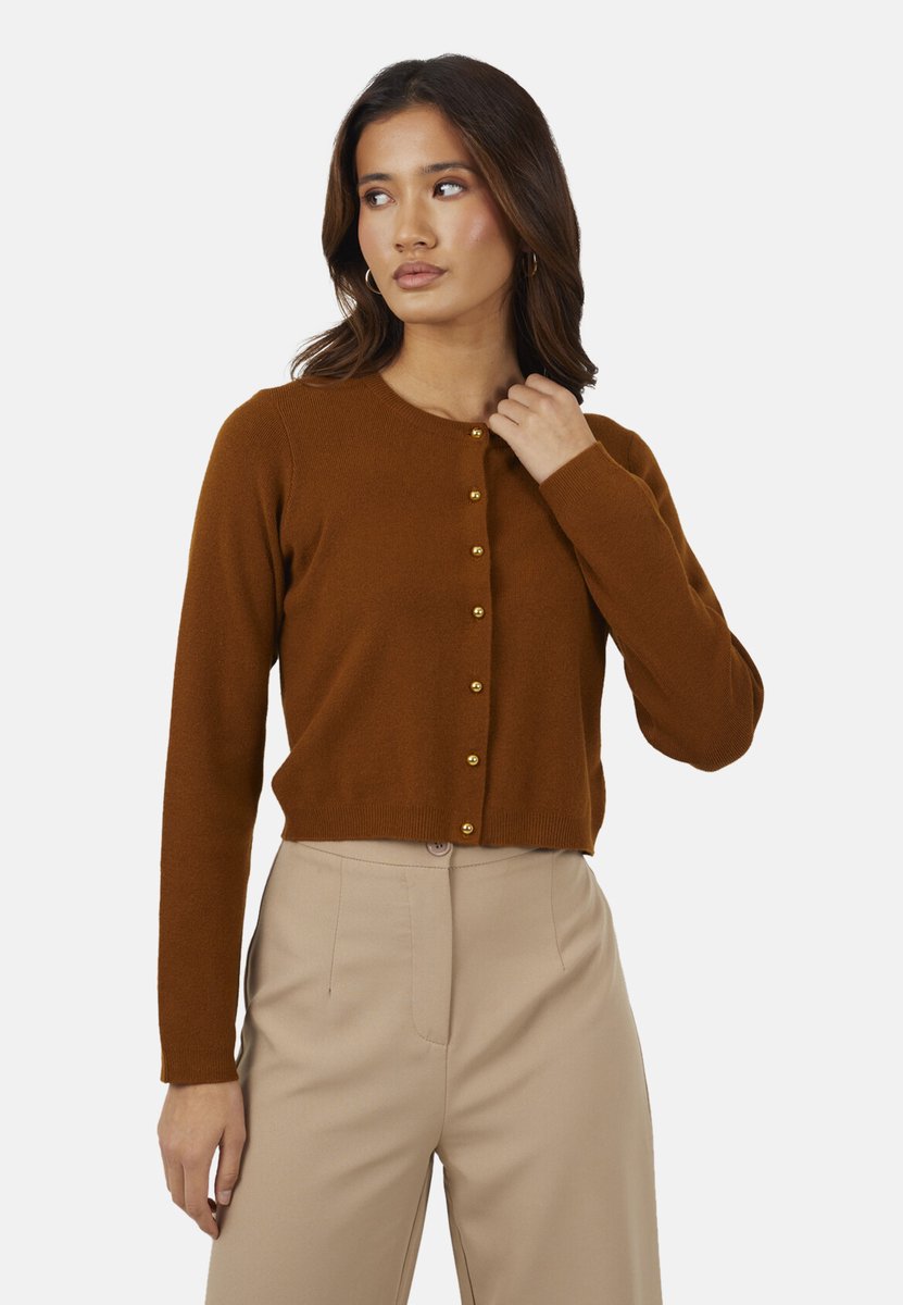 Brave Soul - Vest - Viscose - Vrouwen - Maat L - bruin