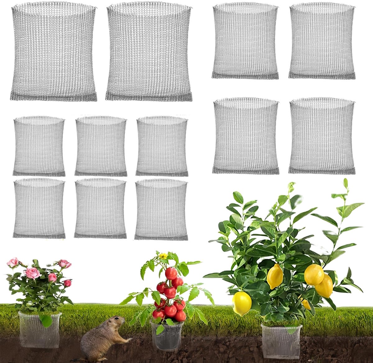 Solidchoice - Set van 12 Rookvrije Netzakken voor Plantbescherming