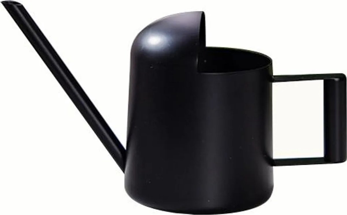 Mini gieter van 300 ml, gemaakt van roestvrij staal, Geschikt voor een lange tuit en handvat, Geschikt voor het besproeien van kamerplanten, mini-tuingieter.