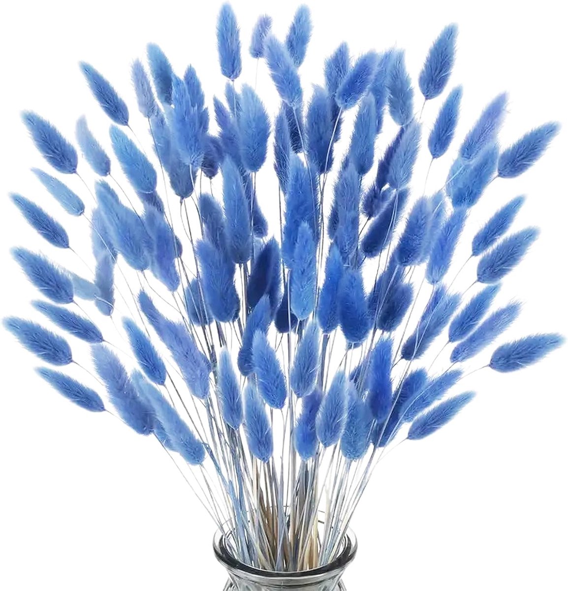 poraceous 120 stuks pampasgras, decoratieve gedroogde bloemen, natuurlijke gedroogde bloemen, decoratieve vazen, blauw - ShopVlot