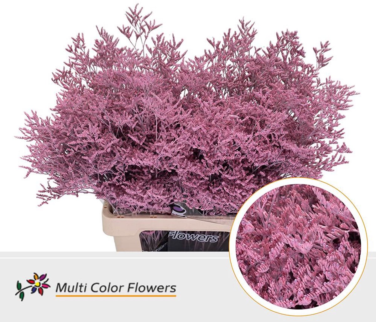 25x Lim. roze 70cm