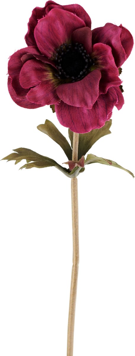 Easyplants | Kunstbloem Anemone 38 cm bordeaux | Zijde | Nepbloemen | roze | Onderhoudsvrij | Kant-en-klaar