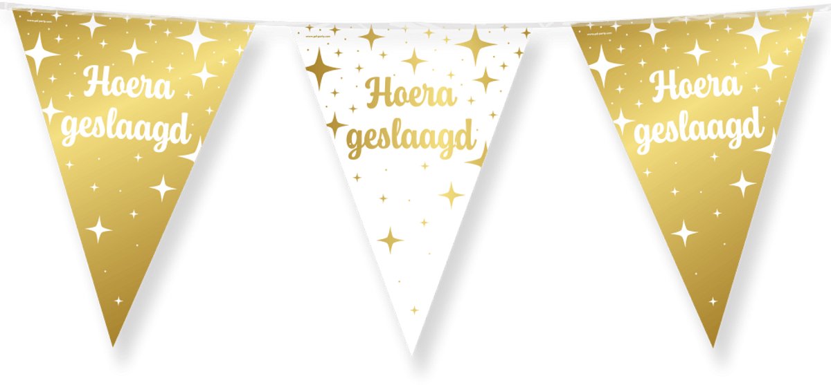 Fancy party flags foil - Geslaagd