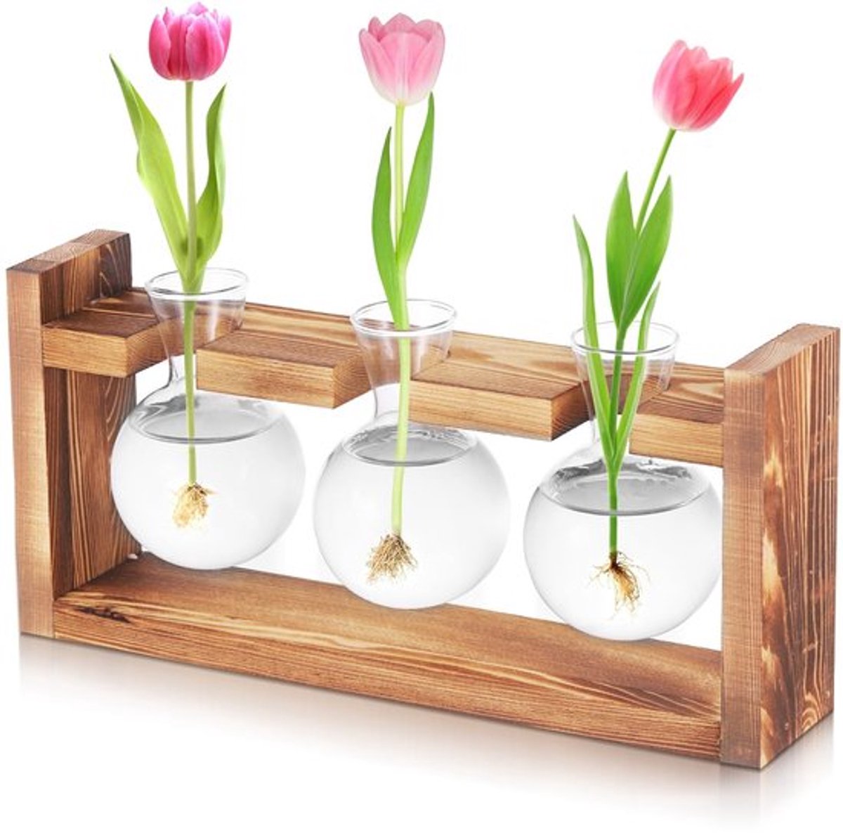 Legplank met houten sokkel - Plantenterrarium - Hydrocultuur vaas - 3 stuks - Borosilicaat