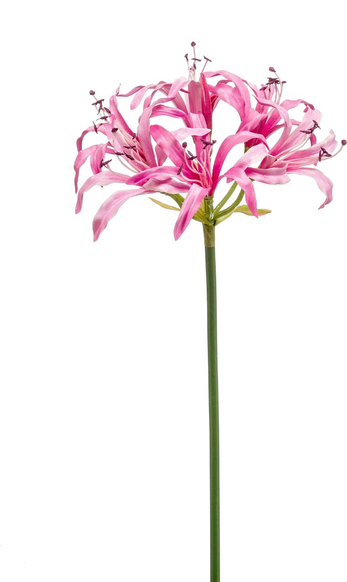 Emerald Kunstbloem Nerine 75cm roze - Kunstplant voor binnen