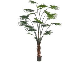 Emerald - Kunstplant Livistona Palm 240cm - Kunstplant voor binnen