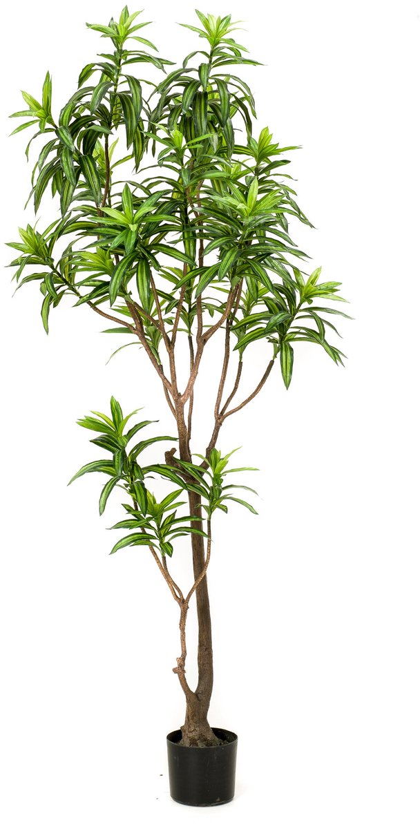 Emerald Kunstboom Dracaena 190cm - Kunstplant voor binnen Groen