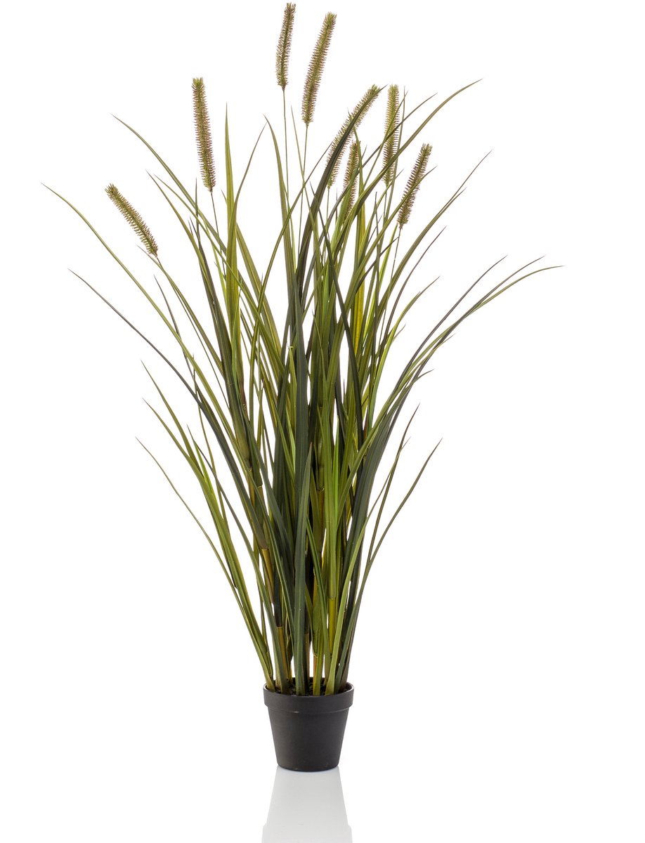 Emerald - Kunstplant Kattenstaart Gras kort 100cm - Kunstplant voor binnen