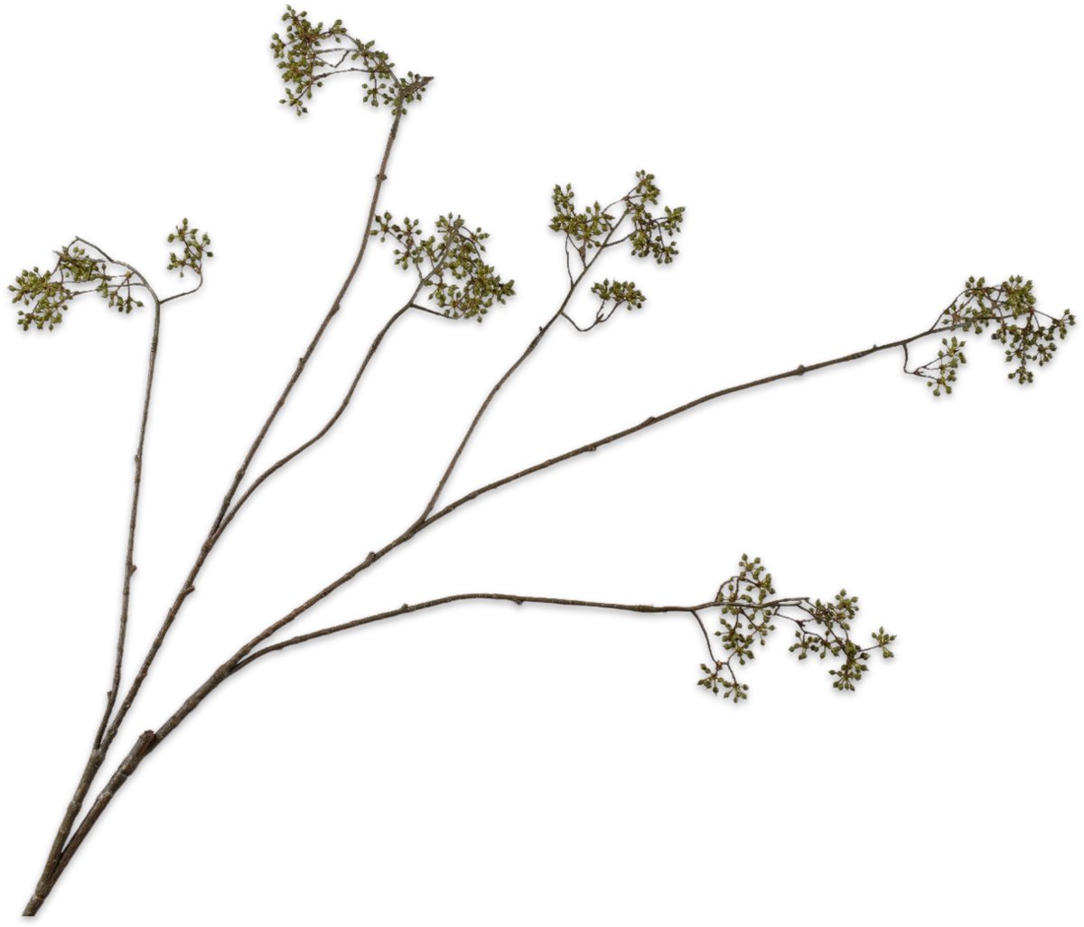 Silk-ka Kunstbloem-Zijden Bloem Spirea Tak Groen 125 cm